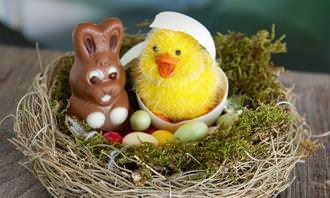 chocolate bunny and chick in basket with chocolate eggs