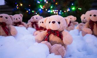 Find the difference: Teddy bears in the snow