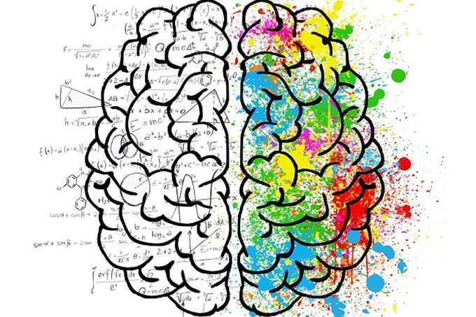 Illustration of both sides of the brain, creative and analytic