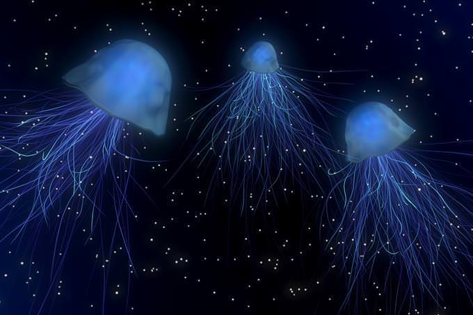 jellyfish in space