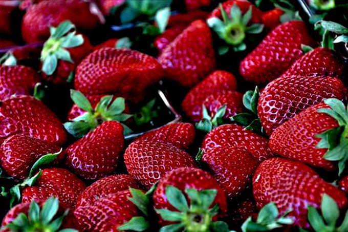 many strawberries