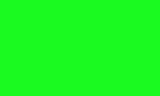 Highlighter green