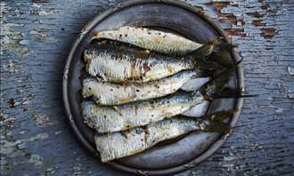 sardinas