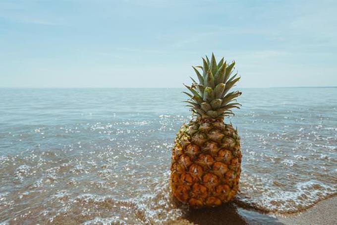 pineapple by the sea