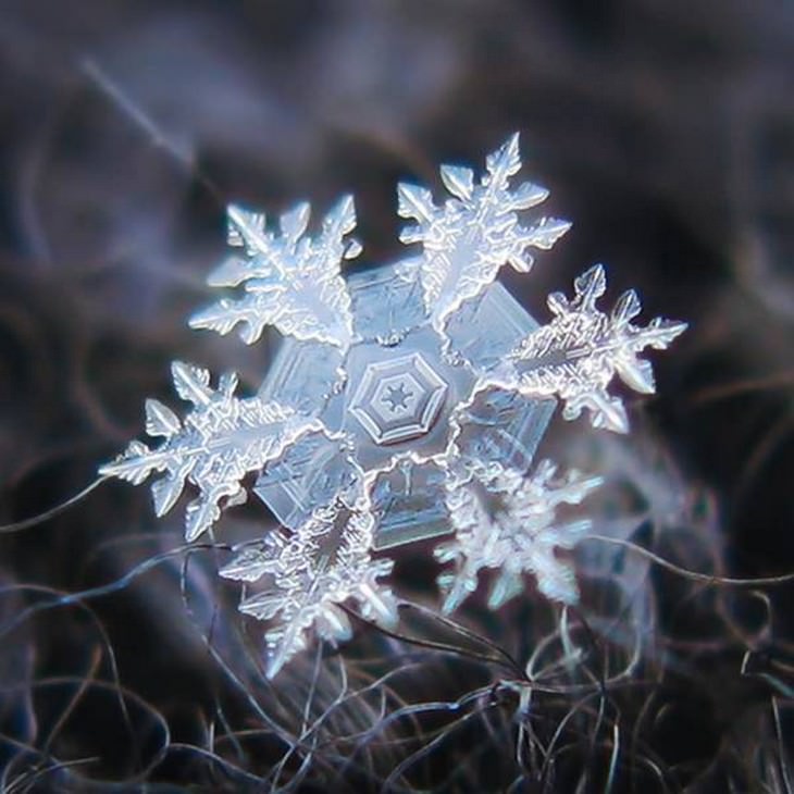 Imágenes microscópicas Foto macro de un copo de nieve perfecto