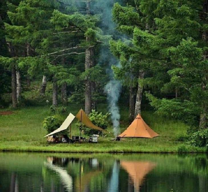 Brillantes Fotos De Los Humanos y La Naturaleza En Armonía acampar en el bosque