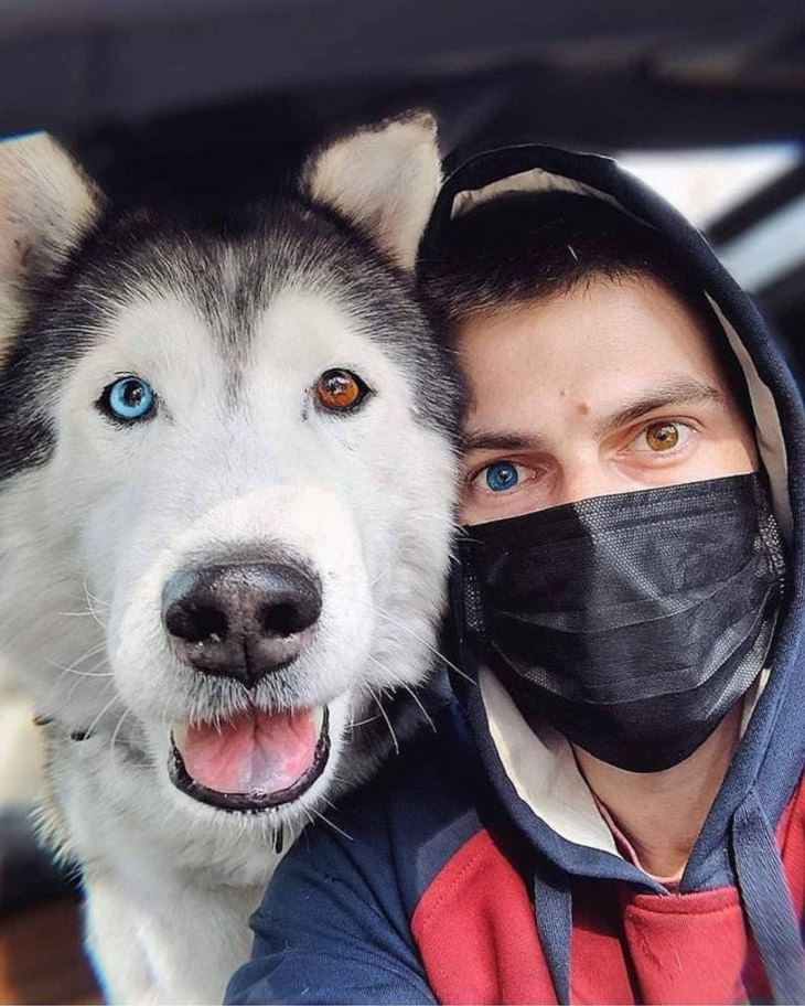 Animales con características únicas perro Alaska y su dueño con ojos bicolor