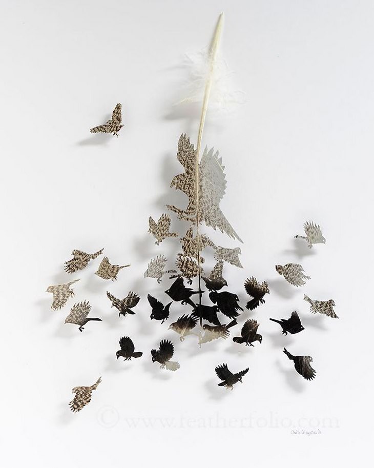 Descubre El Maravilloso Arte Con Plumas De Chris Maynard plumas simulando ser aves