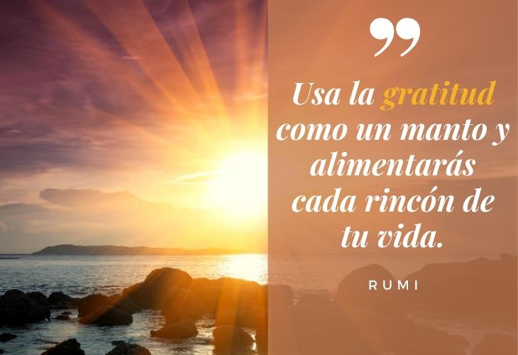 11 Bellas Frases Para Cultivar La Gratitud En La Vida Voltaire Rumi 