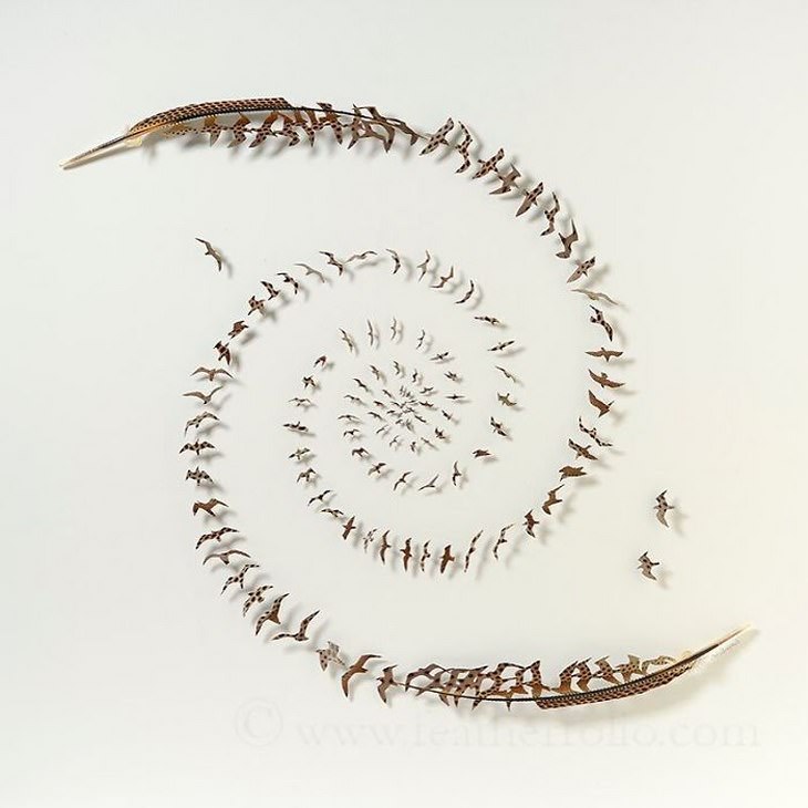 Descubre El Maravilloso Arte Con Plumas De Chris Maynard caracol