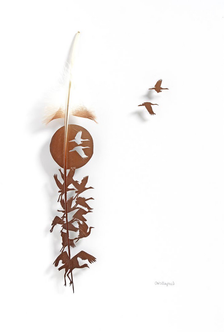 Descubre El Maravilloso Arte Con Plumas De Chris Maynard aves volando