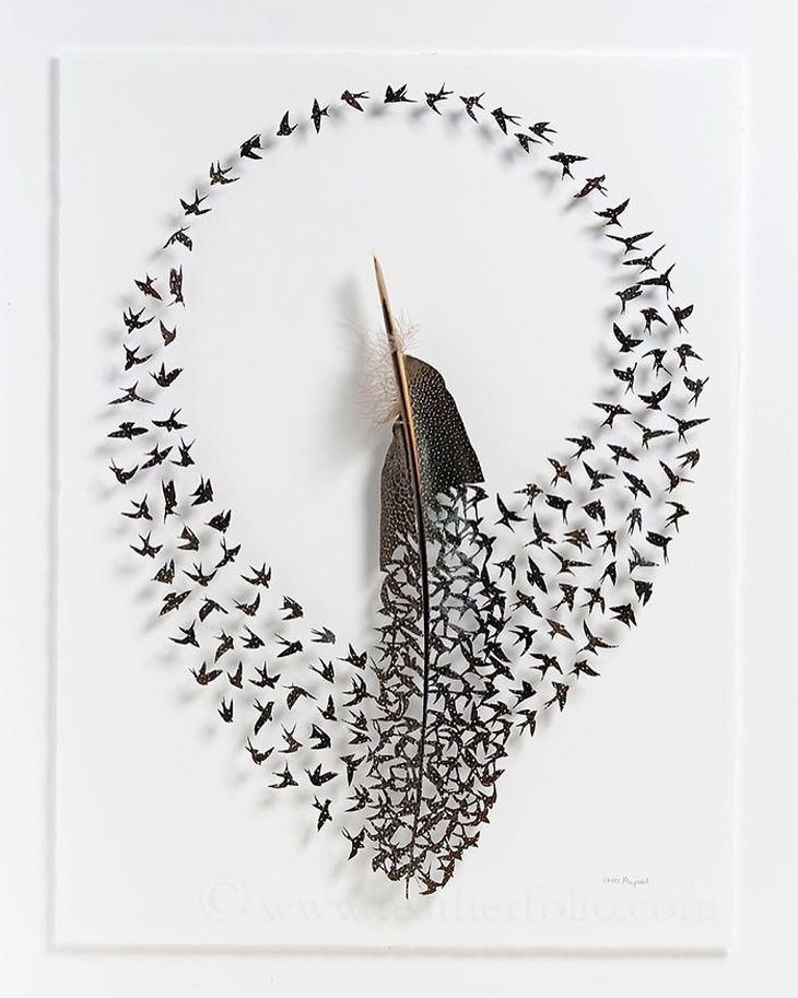Descubre El Maravilloso Arte Con Plumas De Chris Maynard plumas en forma de golondrinas