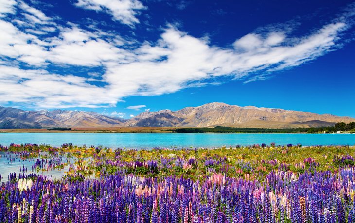 10 Países Más Felices Del Mundo Nueva Zelanda