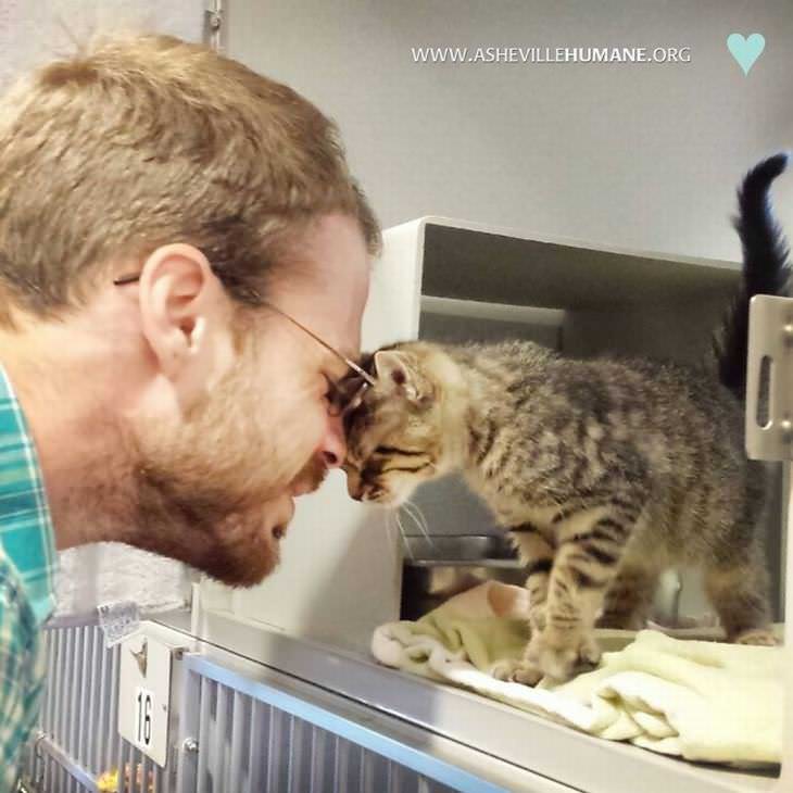 Fotos Que Reflejan Las Emociones Al Hacer Algo Por Primera Vez gato rescatado
