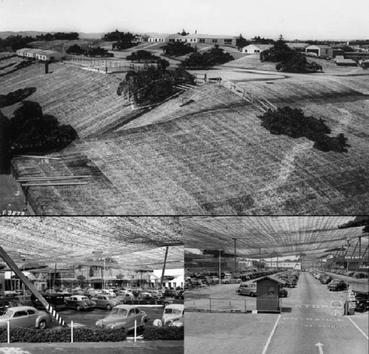 Estas dos increíbles fotos muestran cómo la planta de Lockheed Aircraft en Burbank, California, fue camuflada durante la Segunda Guerra Mundial, escondida completamente debajo de una manta. Para darle la apariencia de un área suburbana, se colocaron cientos de arbustos y árboles falsos a su alrededor.