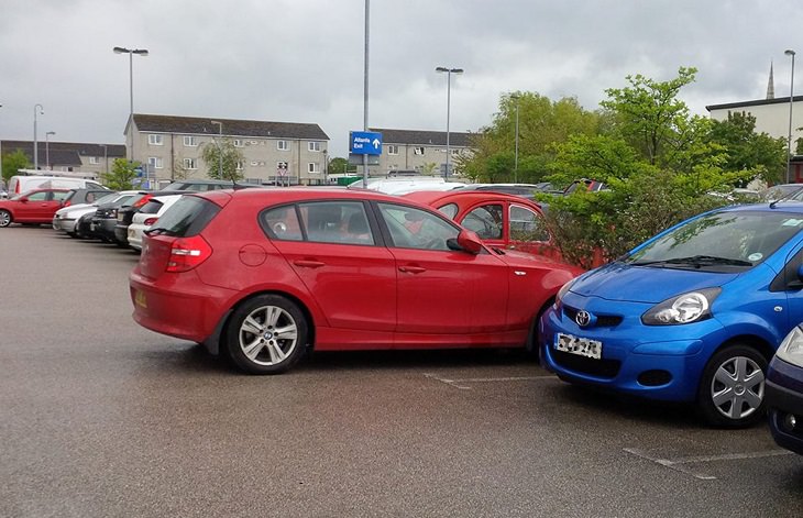 8. "No voy a dejar un espacio de estacionamiento perfectamente bueno solo porque un idiota decidió poner un árbol allí".