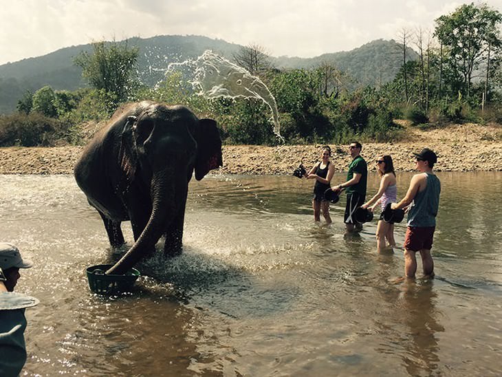 16. ¿Te diste cuenta? La salpicadura de agua cerca del elefante también se parece a la cabeza de un elefante.