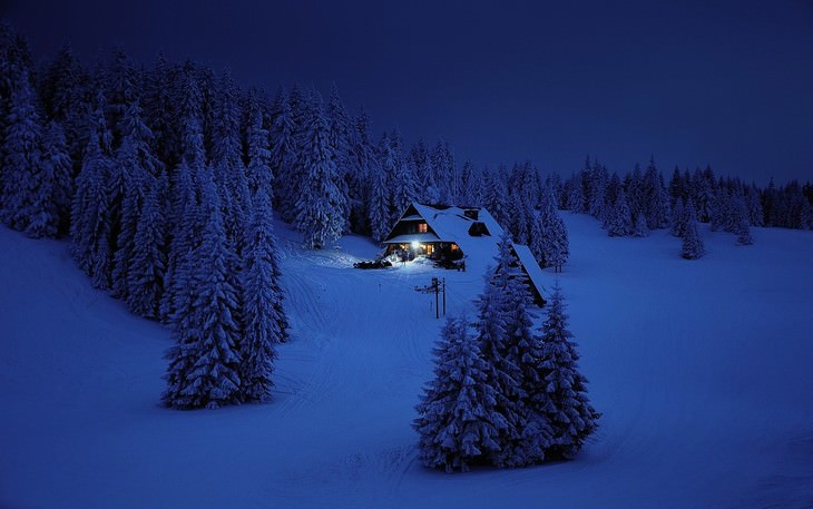 14. Una casa cubierta de nieve cerca del bosque por la noche