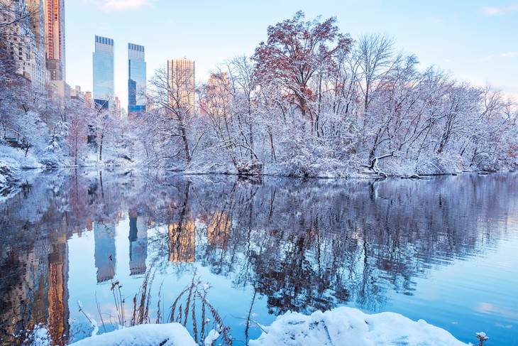 10. Vistas de invierno en Central Park, Nueva York