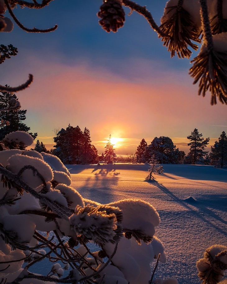 7. Una manta de nieve fresca en un campo al amanecer