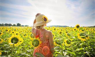 Woman standing in a field of sunflowers