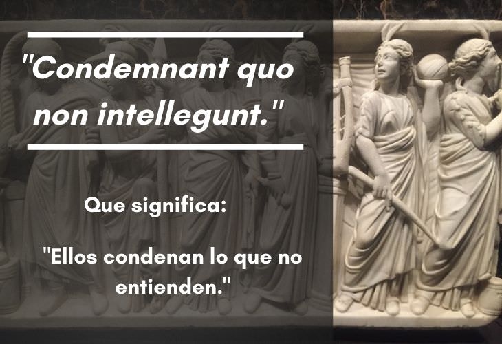 15 Frases En Latín Con Un Significado Profundo "Condemnant quo non intellegunt."