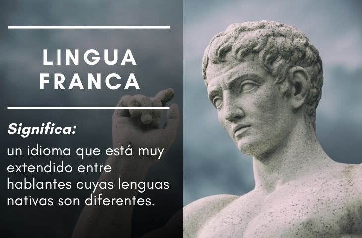 15 Frases En Latín Que Usamos Cada Día lingua franca