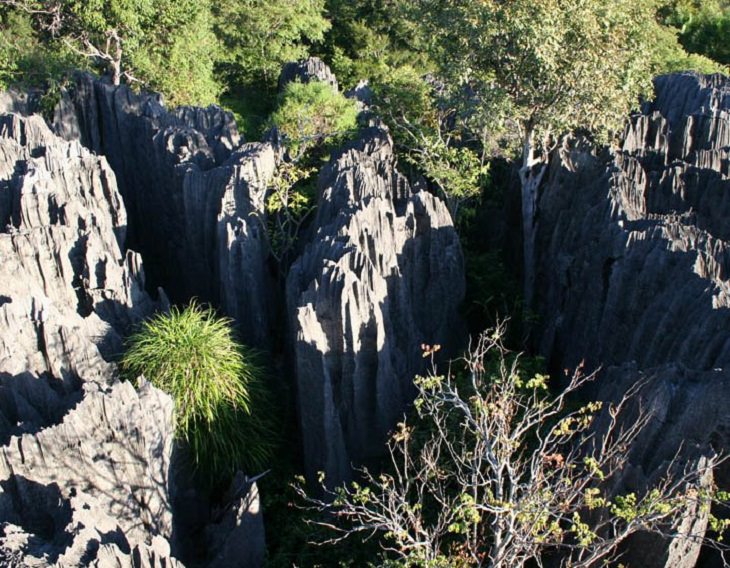 Lugares Intactos De La Tierra Parque Nacional Tsingy de Bemaraha, Madagascar