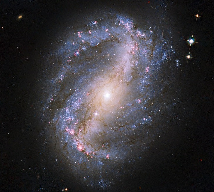 Galaxia NGC 6217, una galaxia espiral barrada que se encuentra en la constelación de la Osa Menor.