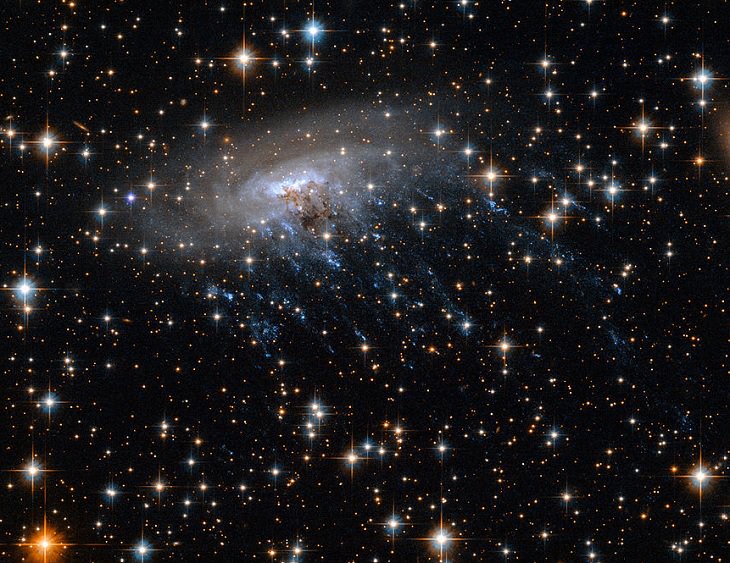 Galaxia ESO 137-001, que es despojada por gas caliente a medida que se mueve, creando un rastro que le da una apariencia de medusa