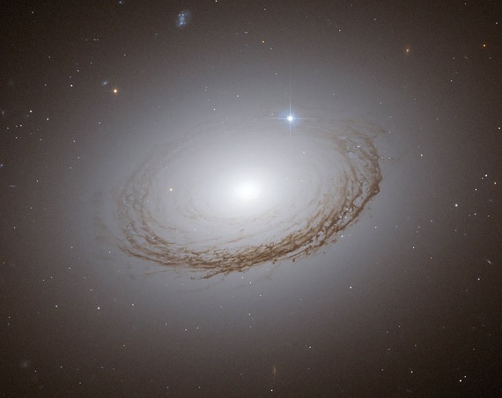 Galaxia NGC 7049, la galaxia más brillante de la constelación del Indo conocida por su inusual forma anular