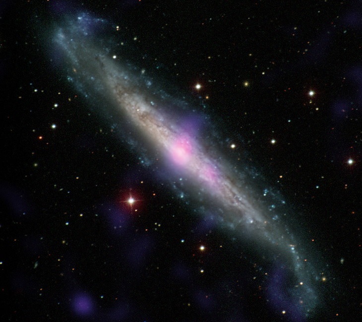  Galaxia NGC 1448, que contiene 4 supernovas y tiene un agujero negro supermasivo en su centro