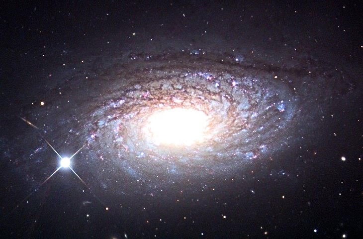 La Galaxia Girasol  (NGC 5055, más conocida como Messier 63 o M63)