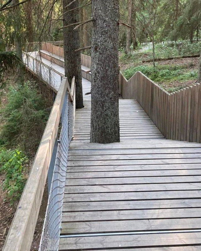 3. Este parque nacional se negó a cortar los árboles que se encontraban en el camino, por lo que decidieron simplemente construir la pasarela a su alrededor.