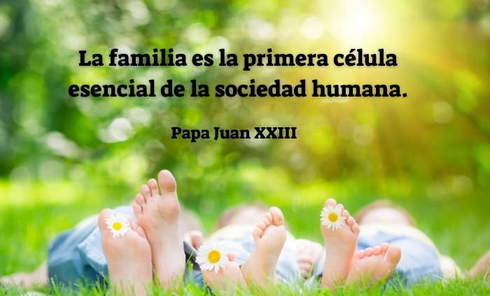 Frases Sobre La Familia La familia es la primera célula esencial de la sociedad humana. 