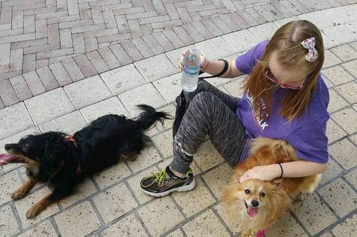 Imágenes Empatía Animal Perros y niña con síndrome de Down