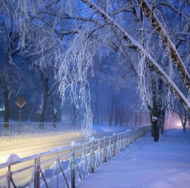 Temporada De Invierno Cuando estás a -45 ° C en Rusia, las noches parecen surrealistas
