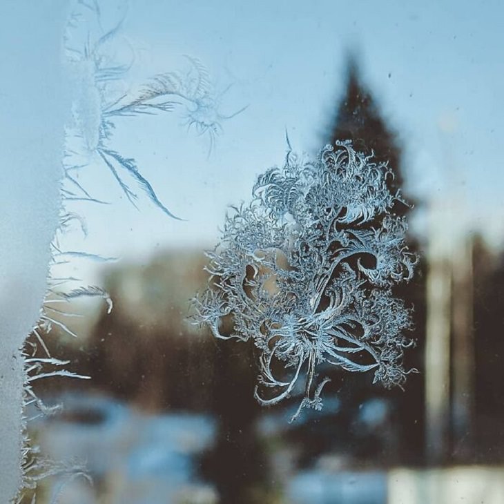 Temporada De Invierno Hermosos patrones de heladas en Novosibirsk