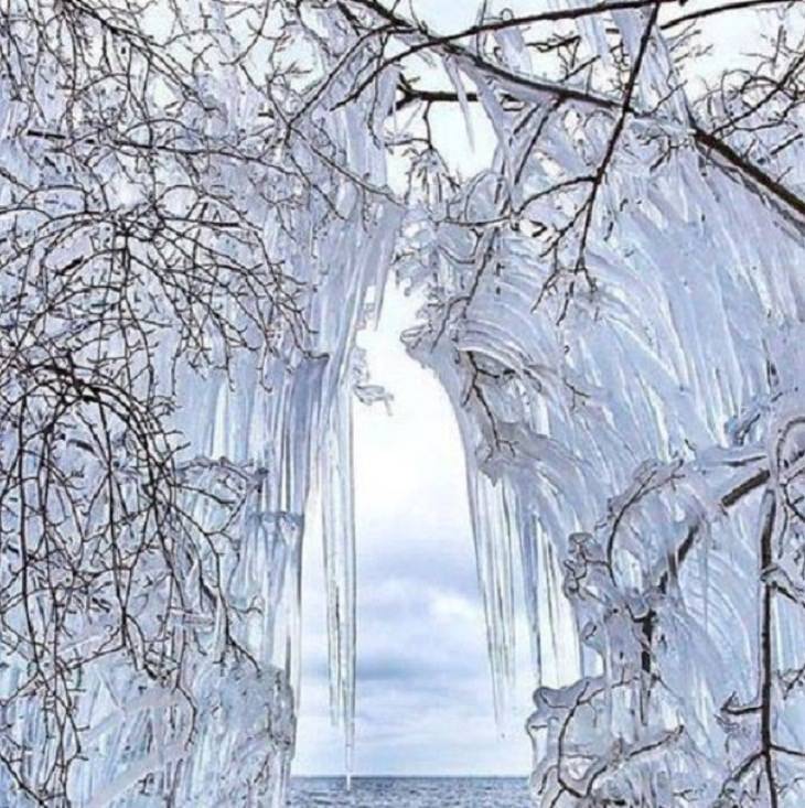 Temporada De Invierno Árboles congelados en el lago Baikal. 