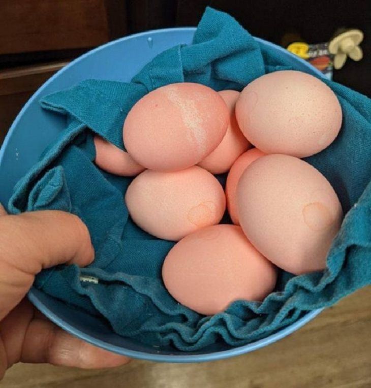 Trucos De Cocina Agregar colorante a los huevos