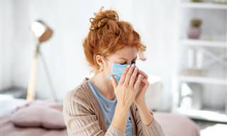 7 Posts Influenza