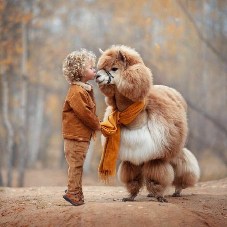 Adorables Fotos De Alpacas Un niñoy su alpaca