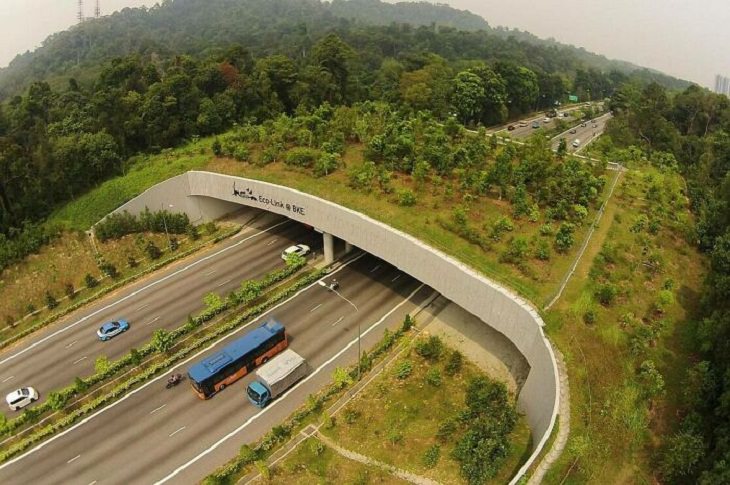 El Eco-Link, un puente ecológico en la autopista Bukit Timah Expressway en Singapur
