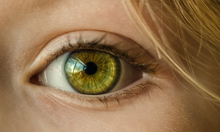 Rasgos Genéticos Raros Solo el 2 por ciento de las personas tiene ojos verdes, pero en realidad no es el color de ojos más raro