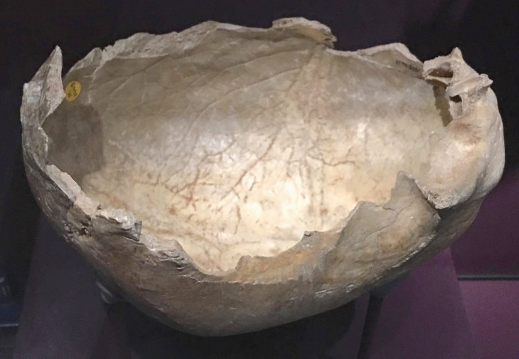 11 Datos Que Te Darán Escalofríos Los habitantes prehistóricos de Inglaterra usaban cráneos humanos como tazas y cuencos.