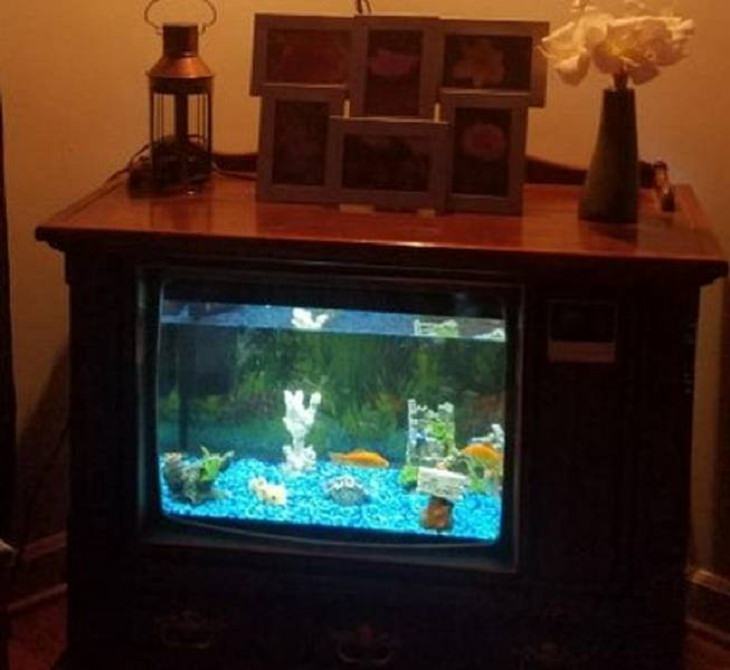  Obras De Arte Recicladas viejo televisor se ha convertido en una pecera