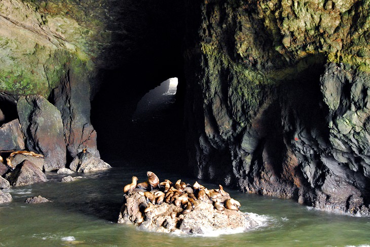 Cuevas Marinas, EEUU