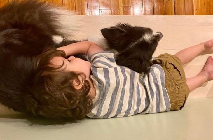 15 Fotos Que Demuestran El Amor Puro De Los Niños Niño con su perro