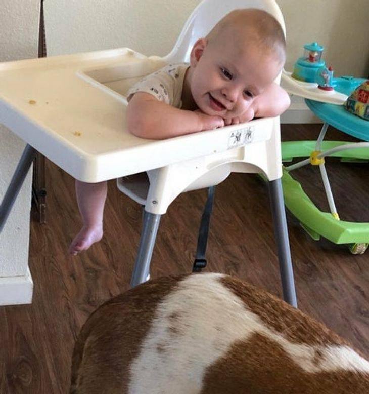 15 Fotos Que Demuestran El Amor Puro De Los Niños Bebé mirando a su perro