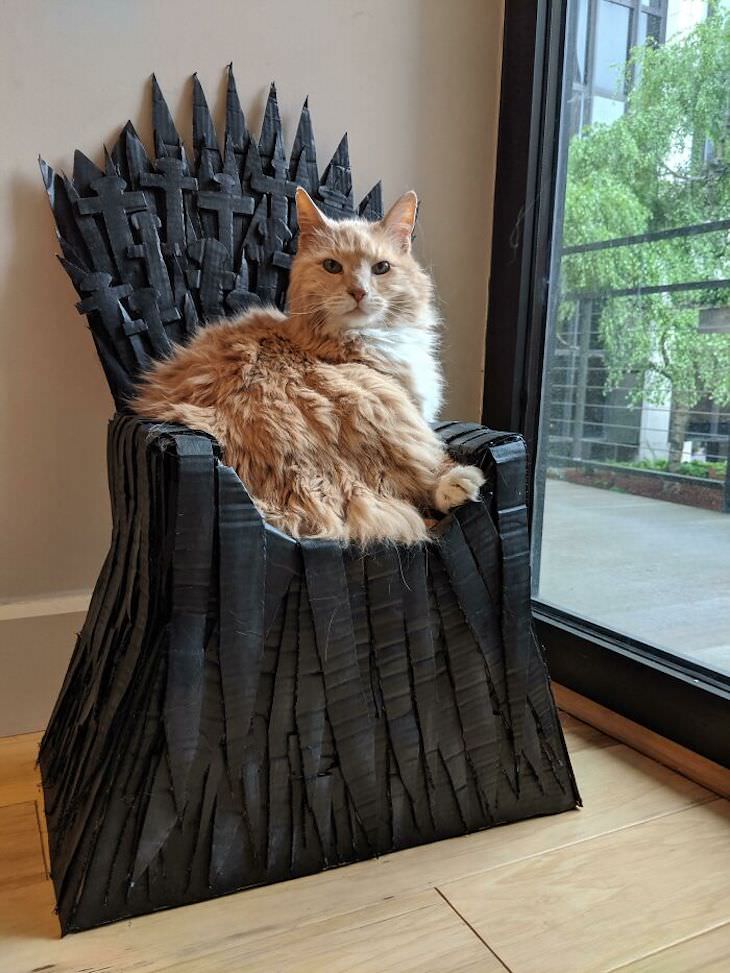 Gatos mimados gato en su trono